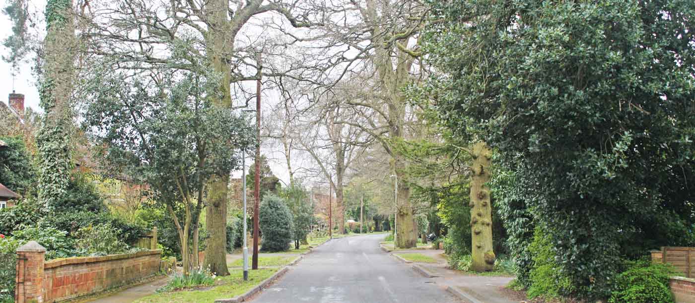 to the Froghall Drive Community