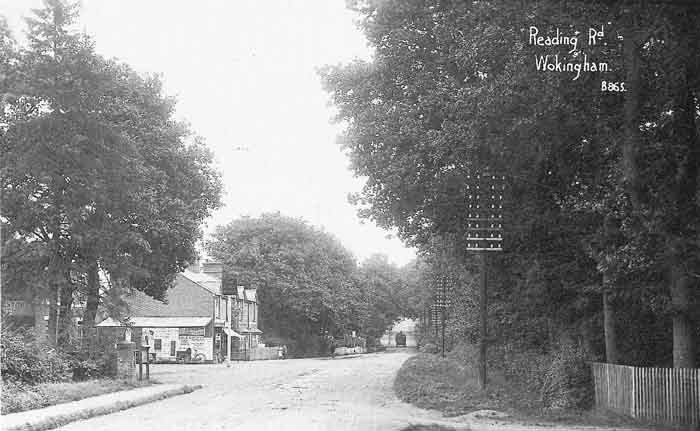 street scene with trees, concealed building